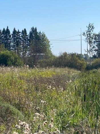 Купить земельный участок в Вологодской области. Вариант № 13732, 9, площадь -  квм, цена 7800000 рублей