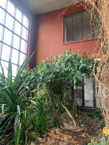 Купить дом на улице Новая в Нижегородской области. Вариант № 29657, 6, площадь -  квм, цена 22000000 рублей