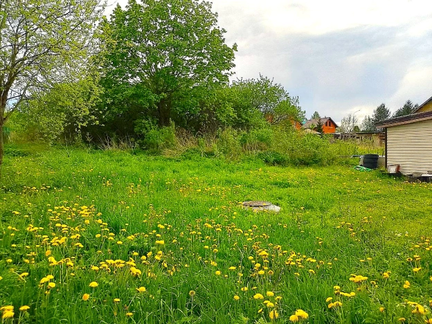 Купить земельный участок в Москве. Вариант № 50461, 4, площадь -  квм, цена 15490000 рублей