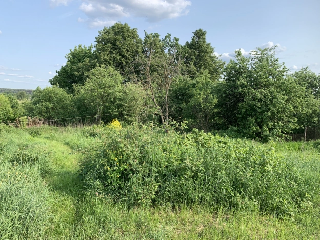 Купить дом на улице Центральная в Владимирской области. Вариант № 48869, 30, площадь - квм, цена 700000 рублей