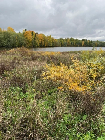 Купить земельный участок в Вологодской области. Вариант № 14000, 0, площадь -  квм, цена 450000 рублей