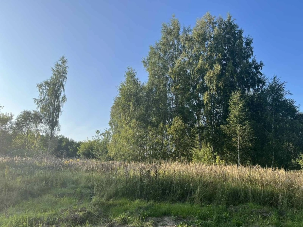 Купить земельный участок на улице 1 Мая в Нижегородской области. Вариант № 28887, 0, площадь -  квм, цена 645000 рублей