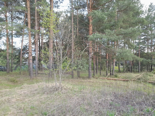 Купить земельный участок в Владимире. Вариант № 1914, 8, площадь -  квм, цена 1290000 рублей