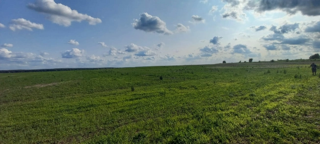 Купить земельный участок на улице Вознесенская в Ивановской области. Вариант № 49719, 1, площадь -  квм, цена 3900000 рублей