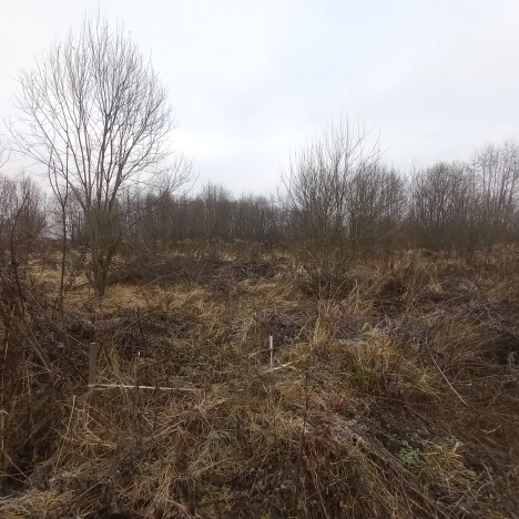 Купить земельный участок в Владимире. Вариант № 9819626, 4, площадь -  квм, цена 500000 рублей