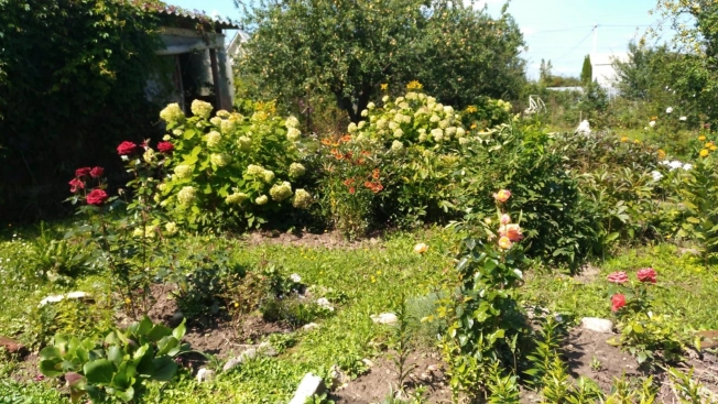 Купить дом в Москве. Вариант № 9581514, 1, площадь -  квм, цена 1650000 рублей