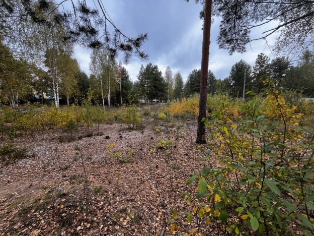 Купить земельный участок в Владимире. Вариант № 5288388, 7, площадь -  квм, цена 3100000 рублей