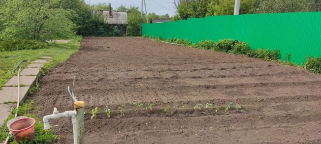 . Вариант № 3430535, 23, площадь - 97 квм, цена 6500000 рублей