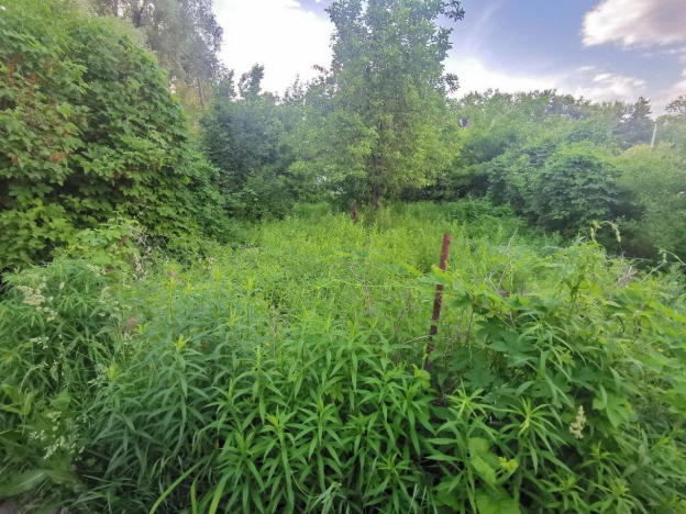 Купить земельный участок в Пензе. Вариант № 9100, 4, площадь -  квм, цена 160000 рублей