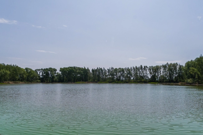 Купить дом в Рязани. Вариант № 34676, 18, площадь -  квм, цена 8600000 рублей