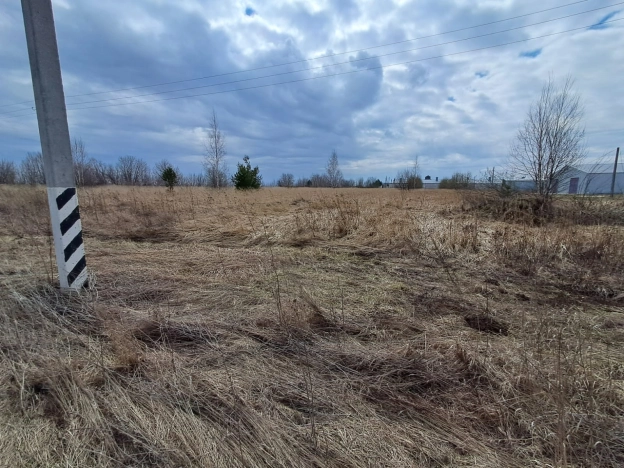 Купить земельный участок в Нижегородской области. Вариант № 36168, 10, площадь -  квм, цена 499000 рублей
