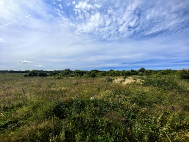 . Вариант № 59798, 4, площадь -  квм, цена 5500000 рублей