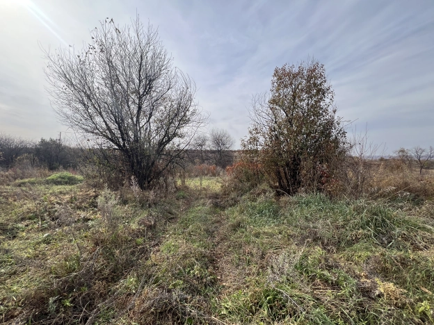 Купить земельный участок в Благовещенске. Вариант № 2046481, 4, площадь -  квм, цена 1200000 рублей