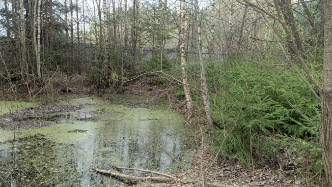 Купить дом в Лакинске. Вариант № 35769, 11, площадь -  квм, цена 1200000 рублей