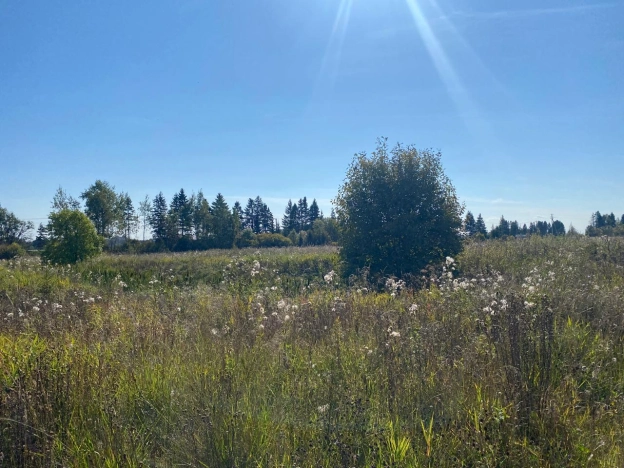 Купить земельный участок в Вологодской области. Вариант № 13732, 1, площадь -  квм, цена 7800000 рублей