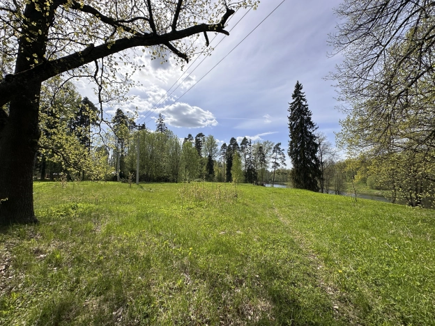 Купить земельный участок в Новгородской области. Вариант № 44811, 3, площадь -  квм, цена 6600000 рублей