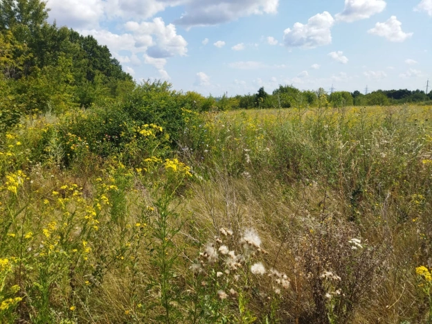Купить земельный участок на улице Пятилетки в Белгородской области. Вариант № 11209, 7, площадь -  квм, цена 600000 рублей