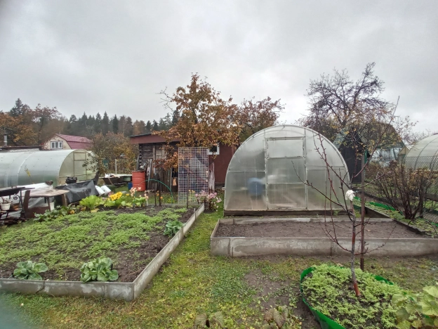 Купить дачу в Владимирской области. Вариант № 8007027, 8, площадь -  квм, цена 1300000 рублей