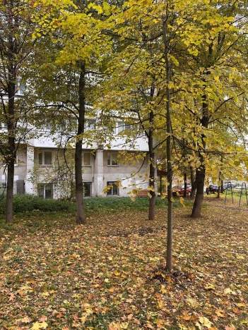 Купить трехкомнатную квартиру в Нижегородской области. Вариант № 6930293, 28, площадь -  квм, цена 12600000 рублей