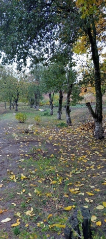 Купить дом в Белгороде. Вариант № 7690311, 20, площадь -  квм, цена 3500000 рублей