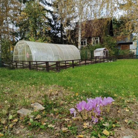Купить дом у метро Речной вокзал в Новосибирске. Вариант № 2977881, 30, площадь -  квм, цена 6500000 рублей
