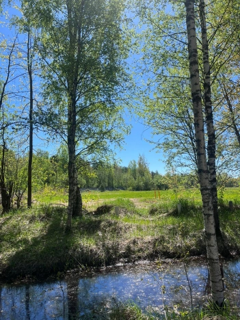 Купить земельный участок в Республике Карелия. Вариант № 23395, 1, площадь -  квм, цена 5000000 рублей