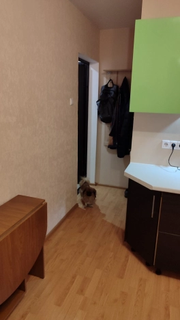 Купить квартиру в Москве. Вариант № 10438264, 1, площадь -  квм, цена 5600000 рублей