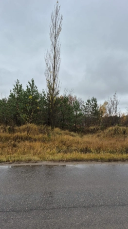 Купить земельный участок в Воронеже. Вариант № 8372868, 2, площадь - квм, цена 2800000 рублей