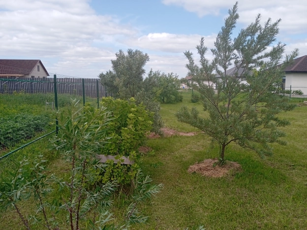 . Вариант № 1299679, 20, площадь -  квм, цена 1150000 рублей