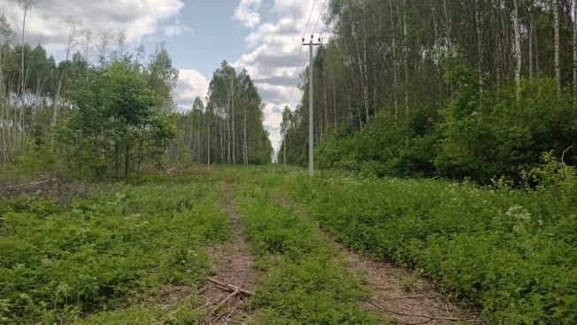 Купить земельный участок на улице 3-я Сорокинская в Владимире. Вариант № 48194, 0, площадь -  квм, цена 1100000 рублей