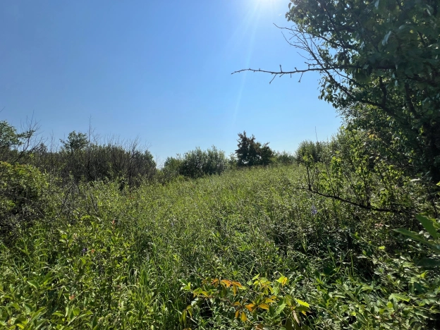 Купить земельный участок в Коломне. Вариант № 10213, 1, площадь -  квм, цена 385000 рублей