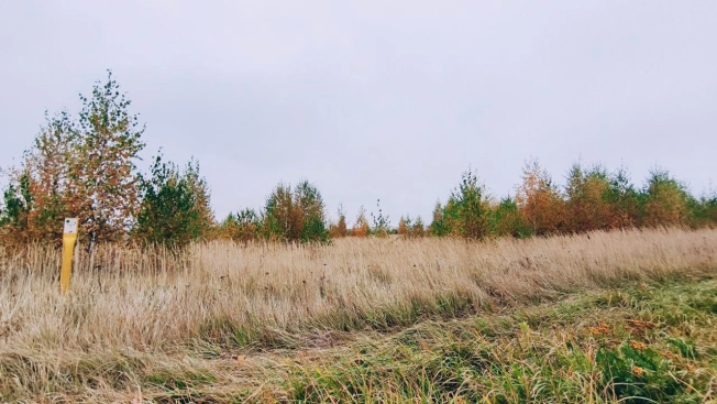 Купить земельный участок в Владимире. Вариант № 2873592, 9, площадь -  квм, цена 580000 рублей