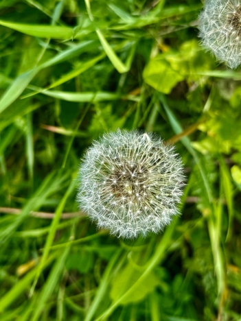 Купить дом на улице 2-й переулок Гагарина в Старом Осколе. Вариант № 44354, 19, площадь -  квм, цена 3250000 рублей