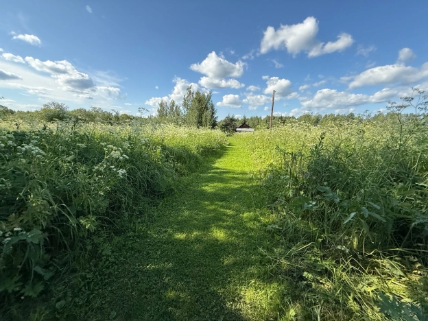 Купить земельный участок в Вологодской области. Вариант № 61367, 9, площадь -  квм, цена 300000 рублей