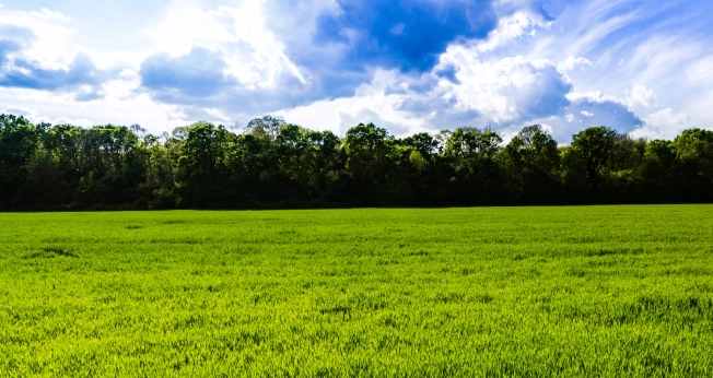 Купить земельный участок на улице Песочная в Ивановской области. Вариант № 12142, 0, площадь -  квм, цена 6900000 рублей
