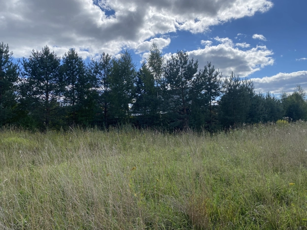 Купить земельный участок на улице Полевая в Вологодской области. Вариант № 2101, 0, площадь -  квм, цена 375000 рублей