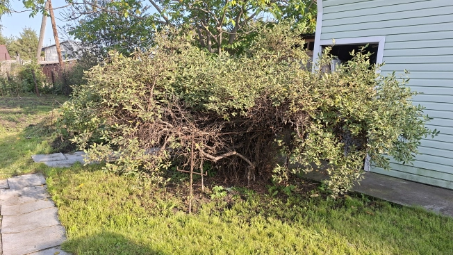 Купить земельный участок в Искитиме. Вариант № 2993005, 12, площадь -  квм, цена 2100000 рублей