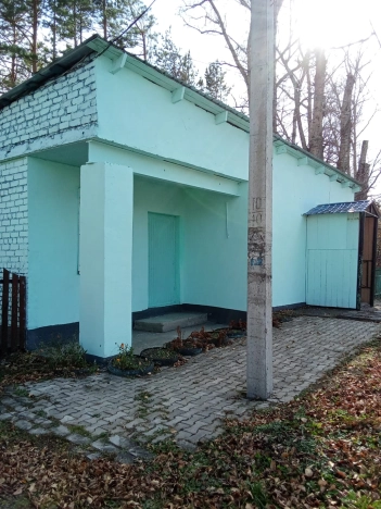 Купить коммерческую недвижимость в Завитинске. Вариант № 2463262, 3, площадь -  квм, цена 2950000 рублей