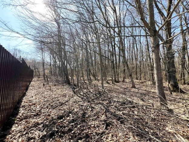 Купить земельный участок на улице 2-й проезд Добролюбова в Пензе. Вариант № 36048, 1, площадь -  квм, цена 3240000 рублей