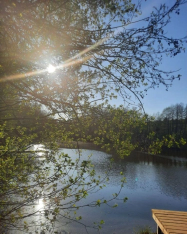 Купить дом в Москве. Вариант № 9873672, 16, площадь -  квм, цена 11750000 рублей