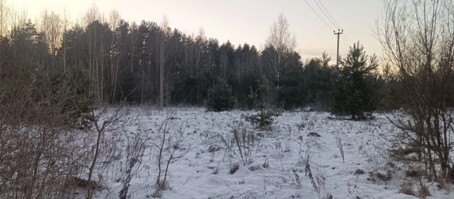 Купить земельный участок в Мытищах. Вариант № 10834263, 15, площадь - квм, цена 7000000 рублей