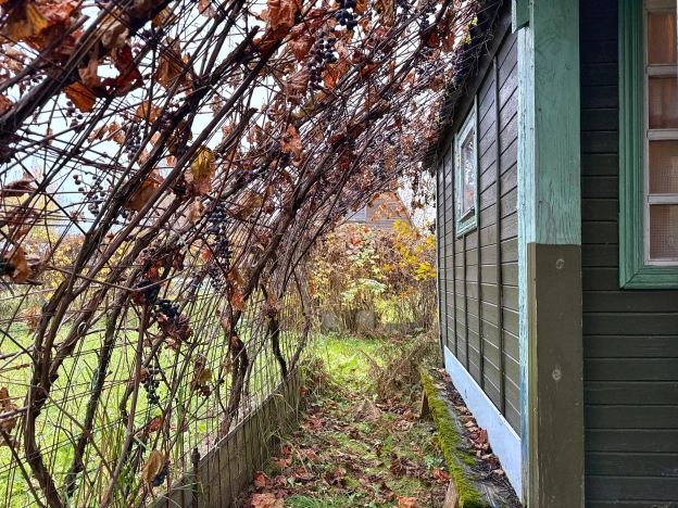 Купить дачу в Воскресенске. Вариант № 7184769, 27, площадь -  квм, цена 2990000 рублей