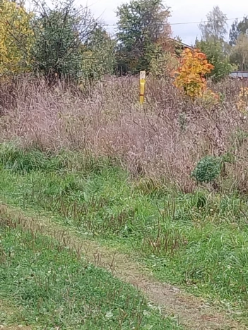 Купить земельный участок в Владимире. Вариант № 2960414, 12, площадь -  квм, цена 1200000 рублей