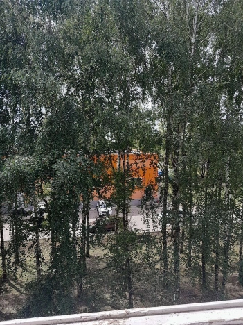 Купить трехкомнатную квартиру на улице Майская в Вологодской области. Вариант № 882194, 14, площадь -  квм, цена 3800000 рублей