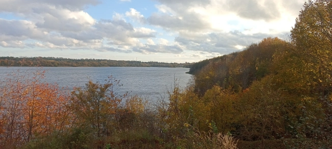 Купить земельный участок в Калининграде. Вариант № 8387538, 4, площадь -  квм, цена 7000000 рублей