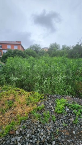 Купить земельный участок в Ростове-на-Дону. Вариант № 4032874, 4, площадь -  квм, цена 2800000 рублей