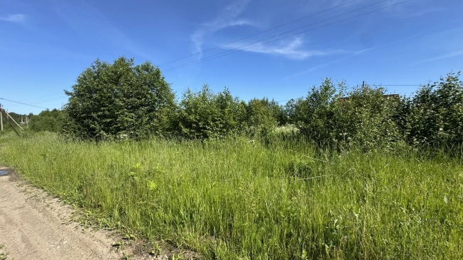 Купить земельный участок в Вологодской области. Вариант № 29592, 3, площадь -  квм, цена 350000 рублей