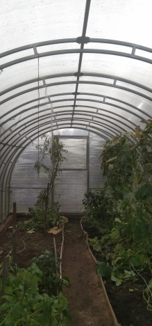 Купить дачу в Тюменской области. Вариант № 3422479, 16, площадь -  квм, цена 1450000 рублей