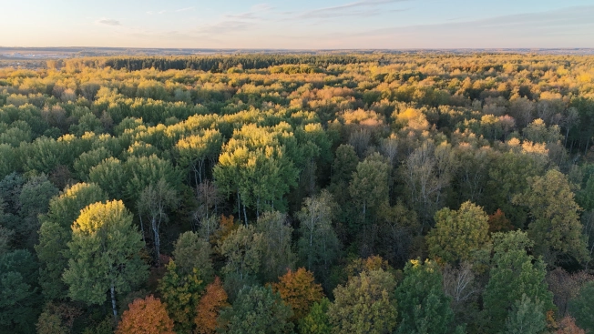 Купить дачу на улице 3-й Восточный проезд в Московской области. Вариант № 6654972, 3, площадь -  квм, цена 671000 рублей