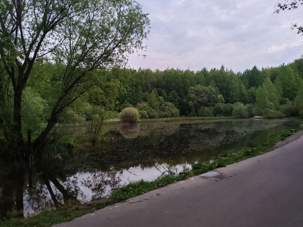 Купить квартиру в Москве. Вариант № 3902951, 3, площадь -  квм, цена 21700000.0000 рублей
